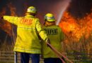 bushfire preparedness
